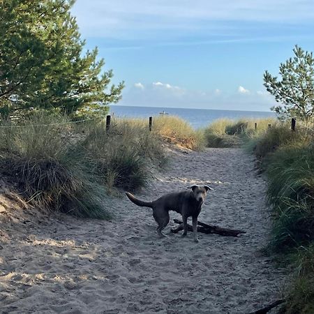Reet Am Strand Mit Hund Karlshagen Bagian luar foto