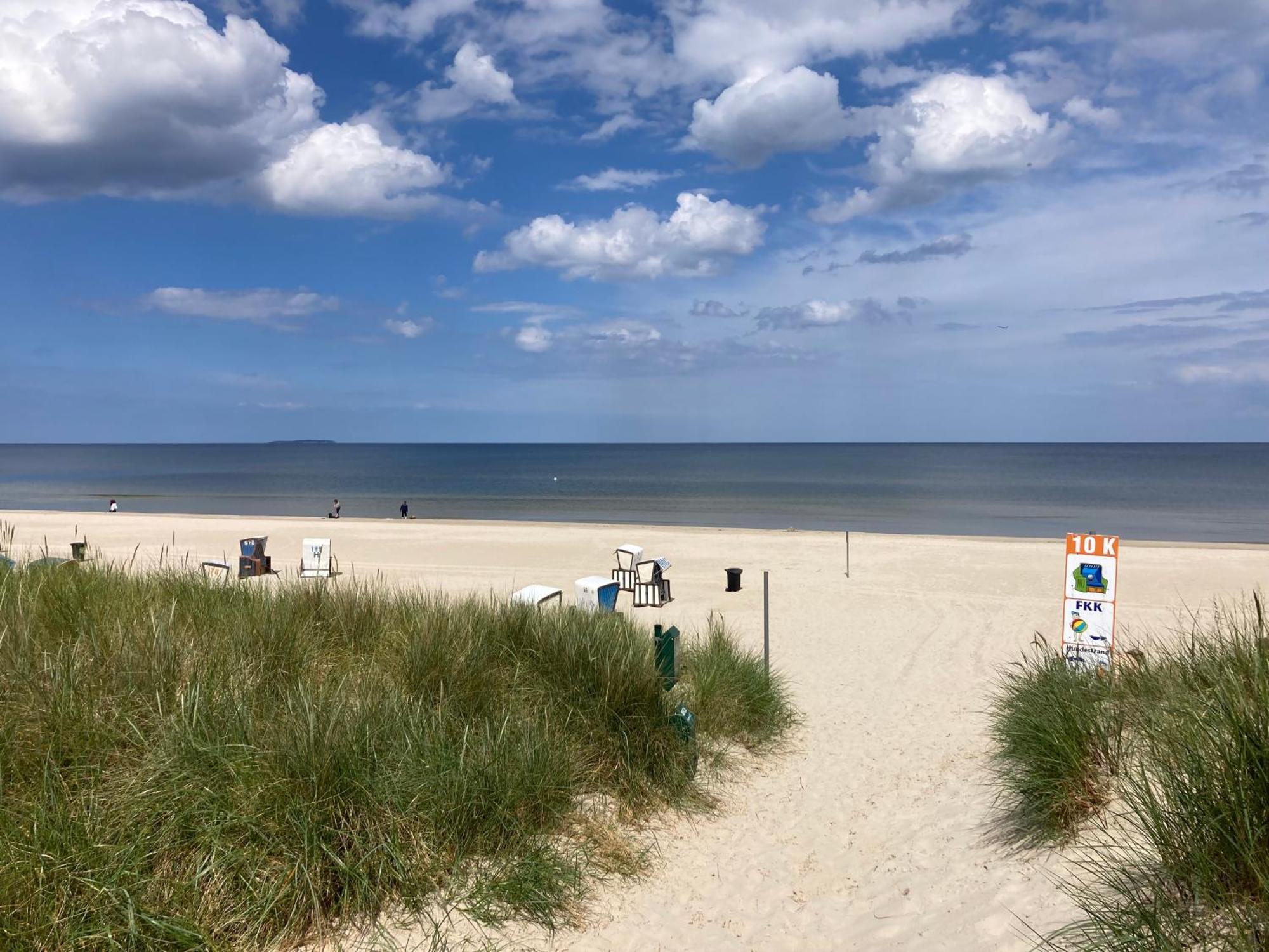 Reet Am Strand Mit Hund Karlshagen Bagian luar foto