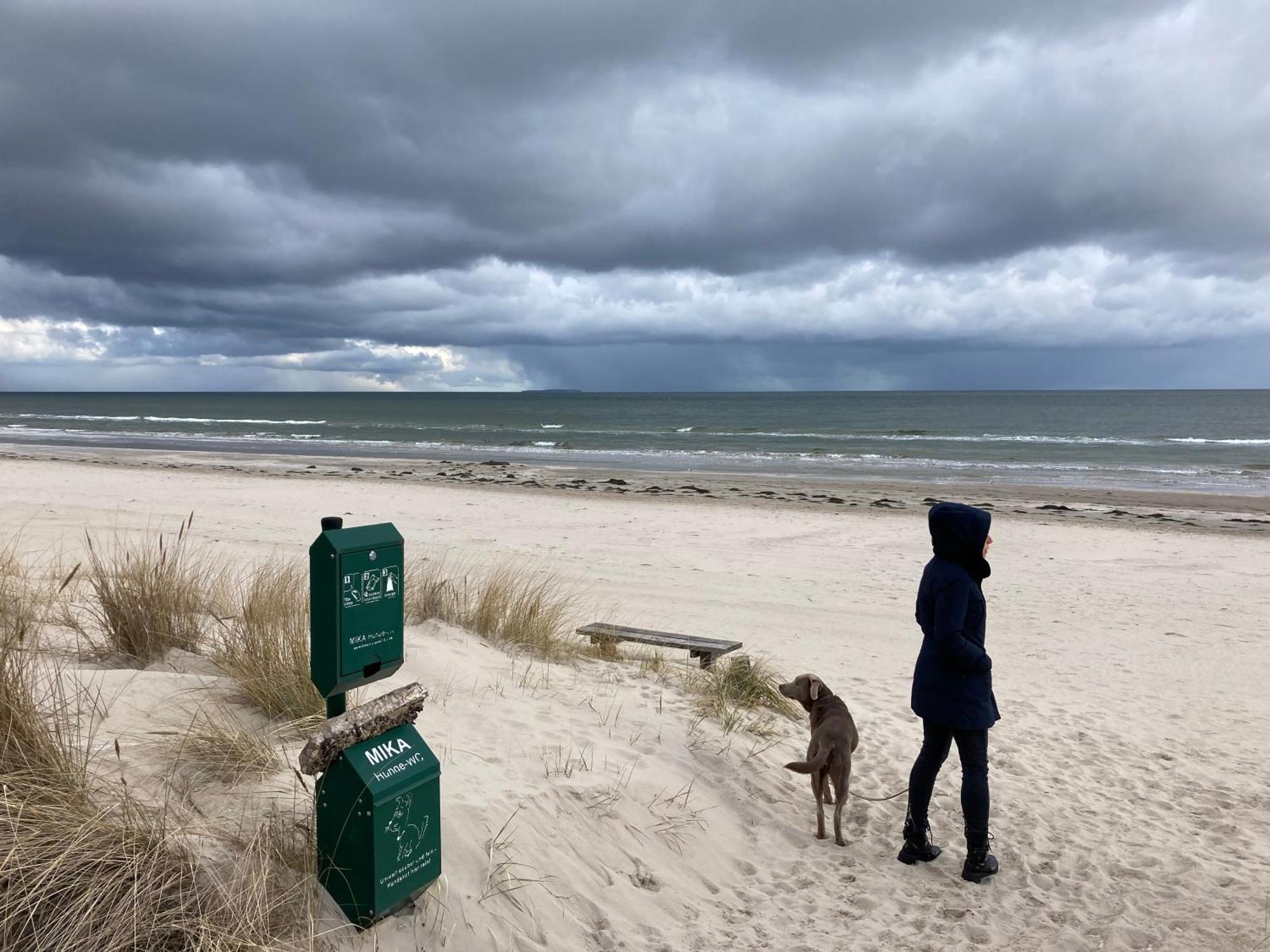 Reet Am Strand Mit Hund Karlshagen Bagian luar foto